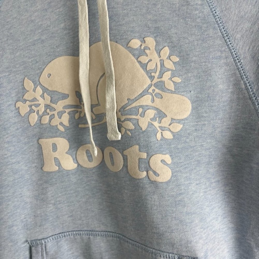Roots Baby Blue Hoodie - Picture 2 of 8